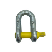 Trade Gear Rated D Shackle 10mm -1000kg
